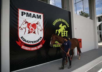 Cavalaria da Polícia Militar retoma atividades da Equoterapia para pessoas com deficiência