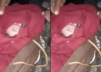 Bebê é encontrado abandonado em matagal