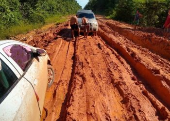 Projeto de Lei aprovado na Câmara dos Deputados deve liberar obras de asfaltamento da BR-319