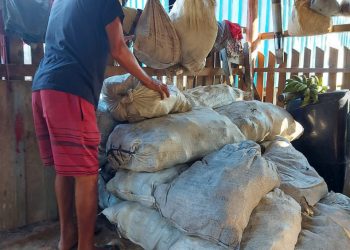 Sedecti articula com indústrias e cooperativas a comercialização de borracha incentivada