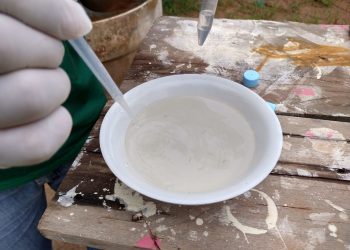 Vigilância em Saúde do Amazonas investiga casos de Febre Chikungunya em Tefé