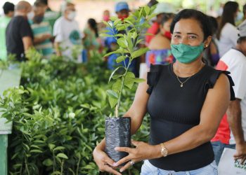 Governo do Amazonas beneficia produtores rurais de Manacapuru e Novo Airão