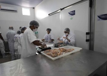Unidade de beneficiamento de pescado é primeiro estabelecimento a obter registro no Sisbi-POA