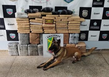 Policiais da Base Arpão apreendem 111 quilos de maconha dentro de embarcação