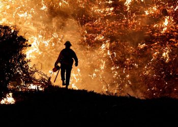 Calor e incêndios colocam Portugal em estado de contingência