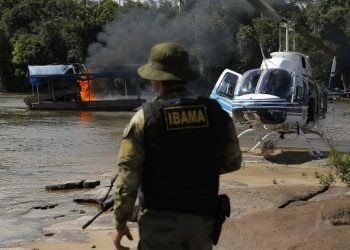 Balsas usadas em garimpo ilegal são destruídas durante operação da PF no Amazonas; veja imagens