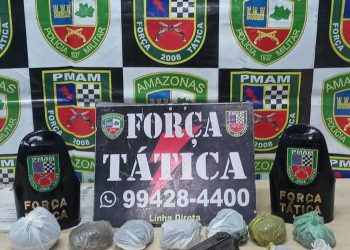 Força tática prende homem por posse de arma de fogo e drogas
