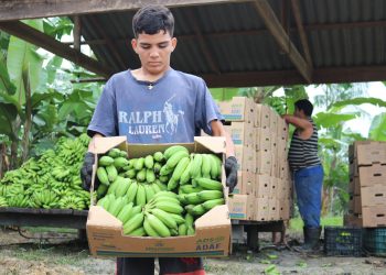 ADS auxilia escoamento de 58 toneladas de produtos em janeiro