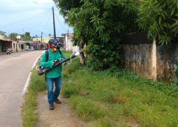Dengue: informe semanal atualiza cenário epidemiológico nesta quinta-feira