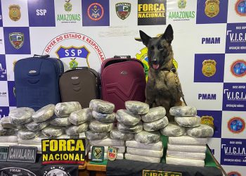 Base Arpão: Ação policial apreende 45 tabletes de drogas