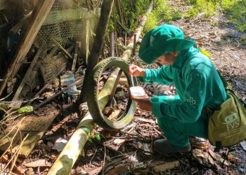 Saúde do Amazonas atualiza o cenário de dengue em informe epidemiológico nesta quinta-feira