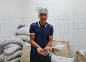 Páscoa 2023: Instituto de Desenvolvimento Agropecuário e Florestal Sustentável do Amazonas incentiva produção de cacau