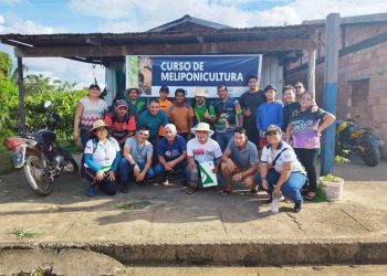 Idam realiza primeiro Curso de Capacitação em Meliponicultura em Vila Rica Caviana