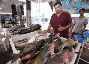 Feirão do Pescado:  Comercialização segue alta pela procura de peixes por conta da Semana Santa