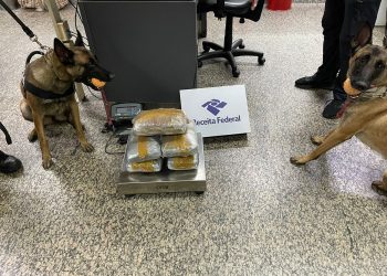 Disque 181 – Denúncias repassadas à SSP-AM resultam na prisão de dois homens com drogas no Aeroporto de Guarulhos (SP)