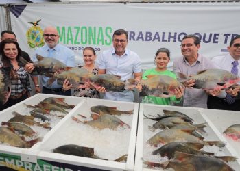 Wilson Lima anuncia doação de 300 toneladas de peixe para instituições assistenciais na Semana Santa