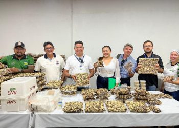 ADS promove Feira de Produtos Regionais e palestras na 4ª Exposição Agropecuária de Nhamundá