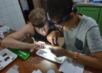 Pesquisa obtém dados biológicos de espécies da flora e fauna amazônica em projeto apoiado pelo Governo do Estado