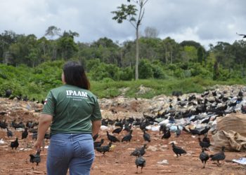 Em Presidente Figueiredo, Ipaam realiza orientação técnica para construção de aterro sanitário