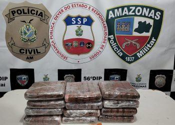 Polícia Civil do Amazonas prende homem em posse de tabletes de maconha, em Jutaí