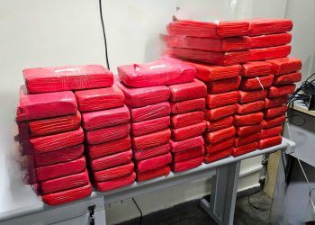 Após denúncias, PC-AM prende homem e apreende 60 tabletes de cocaína avaliados em R$ 4,5 milhões
