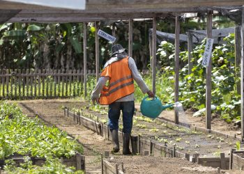 Acolhidos da Fazenda da Esperança recebem primeiros certificados do Plano de Trabalho Agrícola da ADS