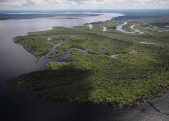 Governo do Amazonas avança com obras da primeira Escola da Floresta na Reserva de Desenvolvimento Sustentável do Uatumã