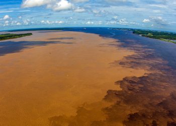 Amazonas é destaque em campanha na Times Square nos EUA