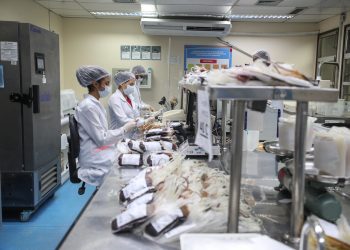 Doenças sanguíneas, câncer e cirurgias cardíacas impulsionam demanda por transfusões de sangue no Amazonas