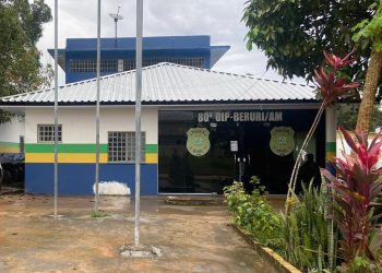 PC-AM indicia dupla por comercialização de quelônios em Beruri