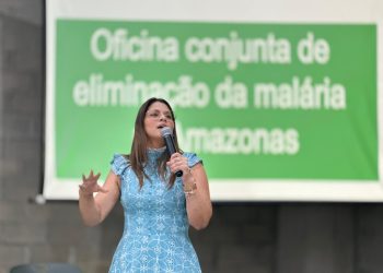 Eliminação da malária: segunda oficina encerra com fortalecimentos de planos de ação municipais contra a doença