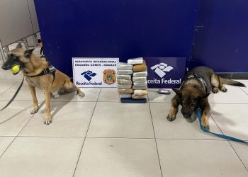 Após denúncia ao 181, Receita Federal apreende 8,5 quilos de maconha do tipo skunk camuflada em polpa de açaí