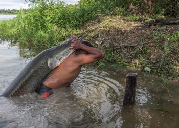 Teatro Amazonas recebe lançamento do filme ‘Pirarucu – o respiro da Amazônia’, neste domingo