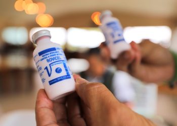 Produtores têm até sexta-feira para notificar vacinação