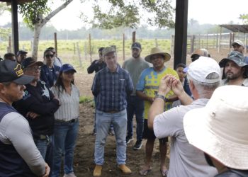 Visita à propriedades rurais com pecuária sustentável encerra Oficina de Capacitação do Plano ABC+ no Amazonas