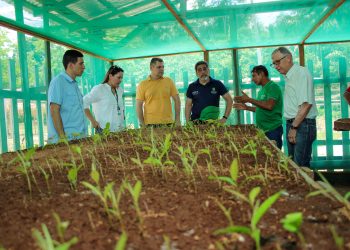Governo do AM vai criar grupo de trabalho para fortalecer cadeia produtiva da castanha
