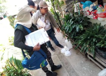 Dengue: Saúde apoia tecnicamente Manaus na realização do último LIRAa de 2023