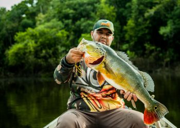 Regulamentação da pesca esportiva potencializa turismo sustentável com geração de emprego e renda no Amazonas