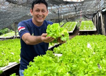 Idam reforça benefícios da hidroponia para a horticultura amazonense