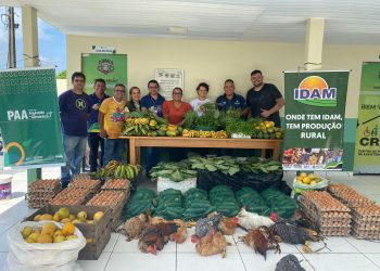 Em Novo Airão, Idam atua na logística de escoamento de 4,7 toneladas de alimentos adquiridas por meio do PAA