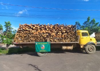 Madeira ilegal é apreendida pelo Batalhão Ambiental da Polícia Militar do Amazonas