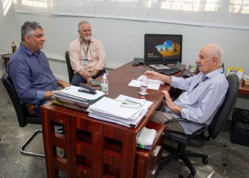 Sedecti busca estimular o crescimento econômico da pitaya no Brasil