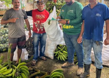 Idam atua na logística de 13 toneladas de alimentos produzidas por agricultores de Anori