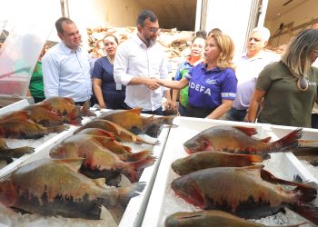Wilson Lima anuncia doação de mais de 360 toneladas de peixe a instituições assistenciais do Amazonas
