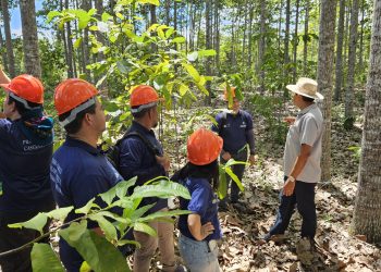 Idam realiza intercâmbio de conhecimento sobre boas práticas de manejo da castanha-do-Brasil
