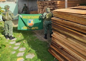 PMAM apreende madeira serrada em depósito clandestino na zona norte