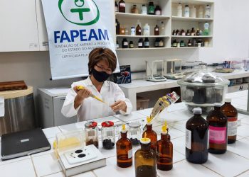 Pesquisa apoiada pelo Governo do Amazonas realiza avaliação química e biológica de plantas da Região Amazônica