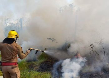 Corpo de Bombeiros combate incêndio em área de vegetação nas proximidades do aeroporto de Manicoré