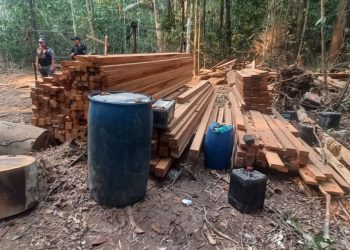 PC e PMAM com apoio da SSP-AM prendem dupla por prática de crime ambiental em Novo Aripuanã