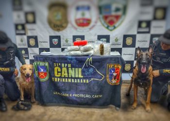Em Parintins, Polícia Militar do Amazonas prende duas mulheres com seis tabletes de maconha